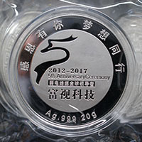 廣東深圳富視科技5周年銀章_ 紀念章制作 紀念章制作 定制紀念章  周年慶典